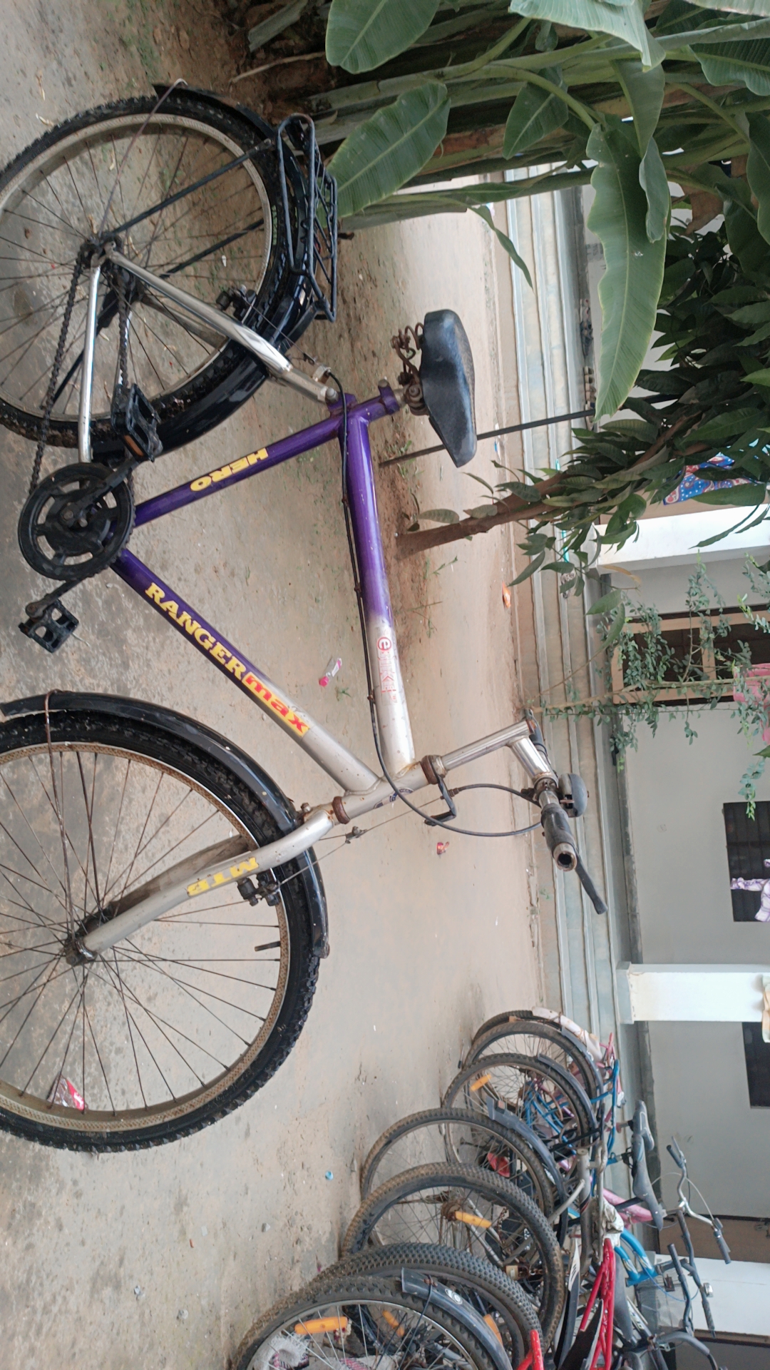 Cycle