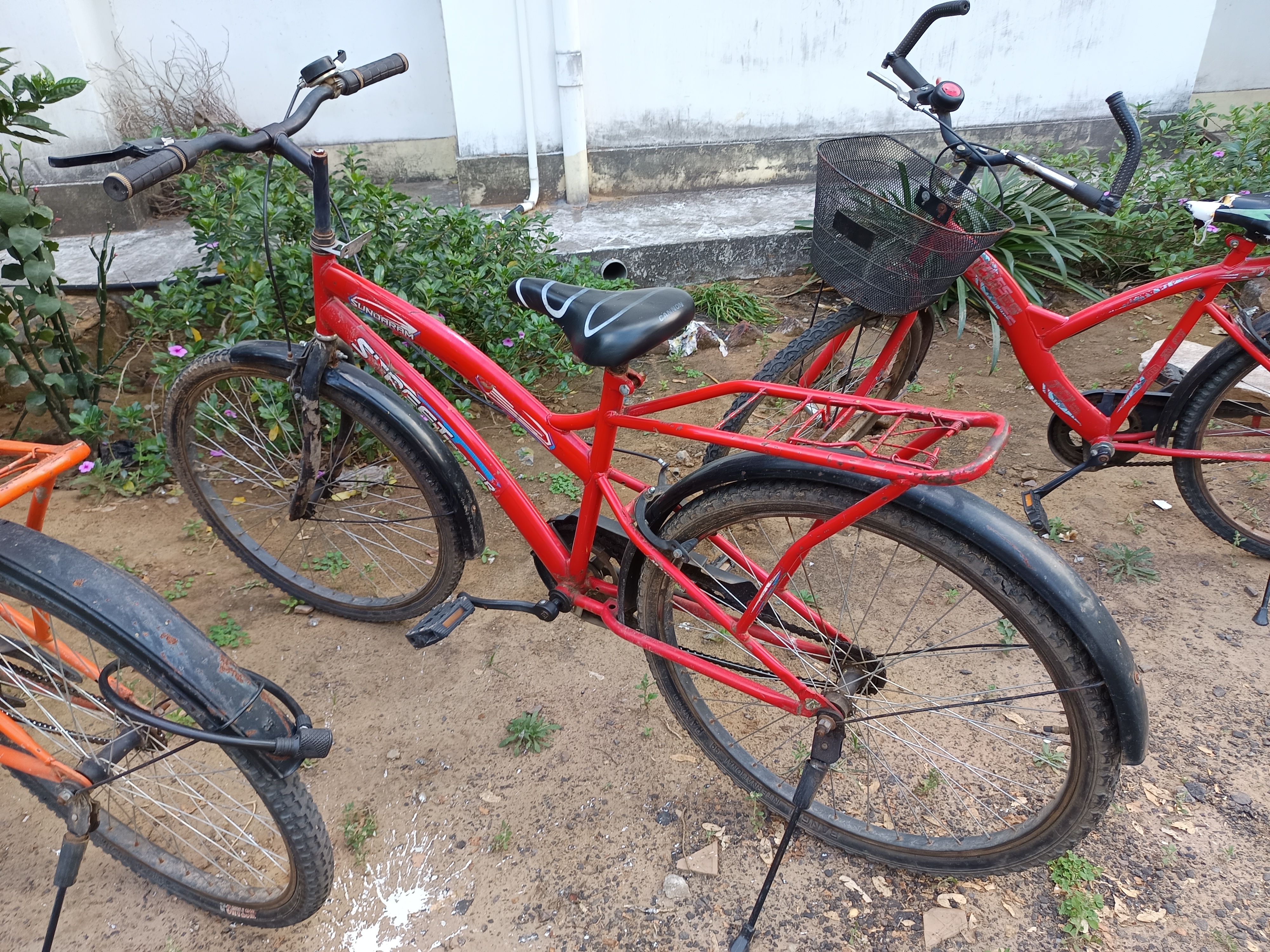 Cycle