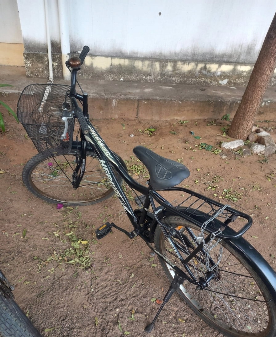 Cycle