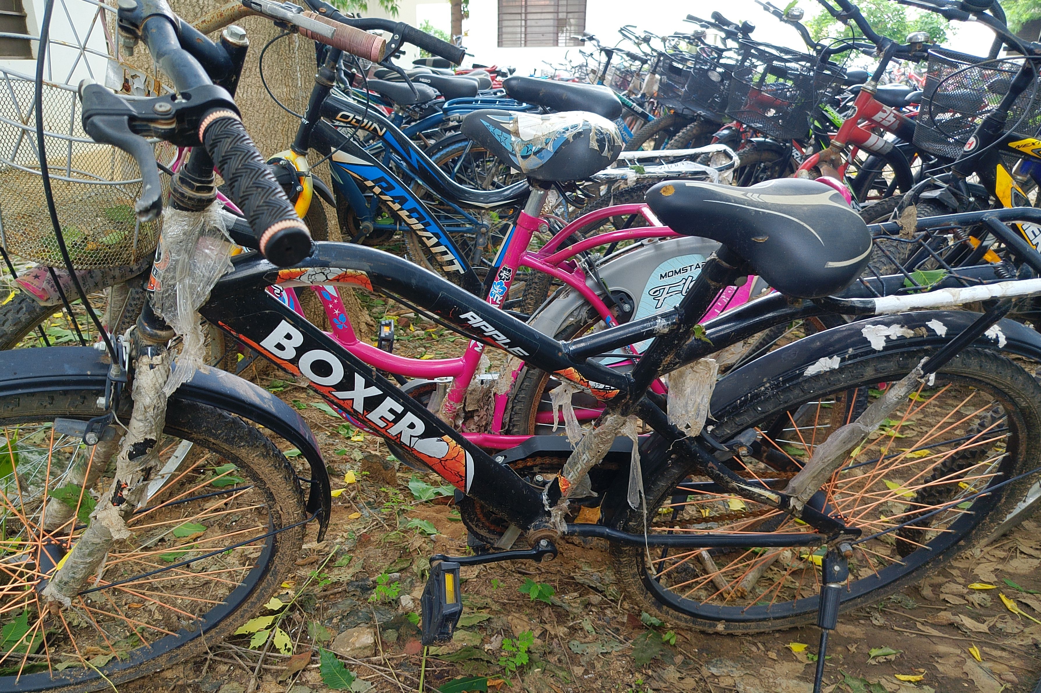 Boxer cycle 