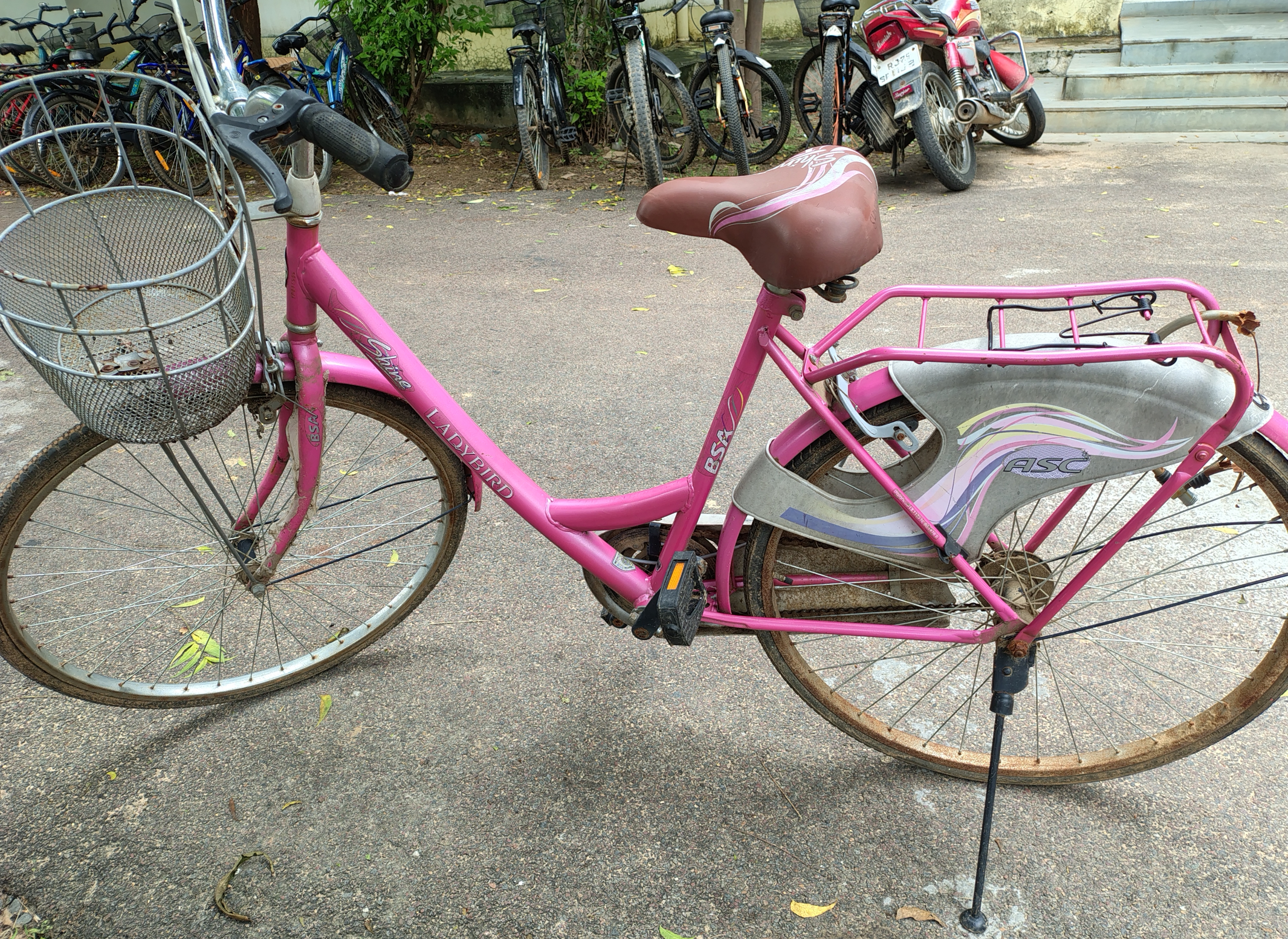 Ladybird Cycle