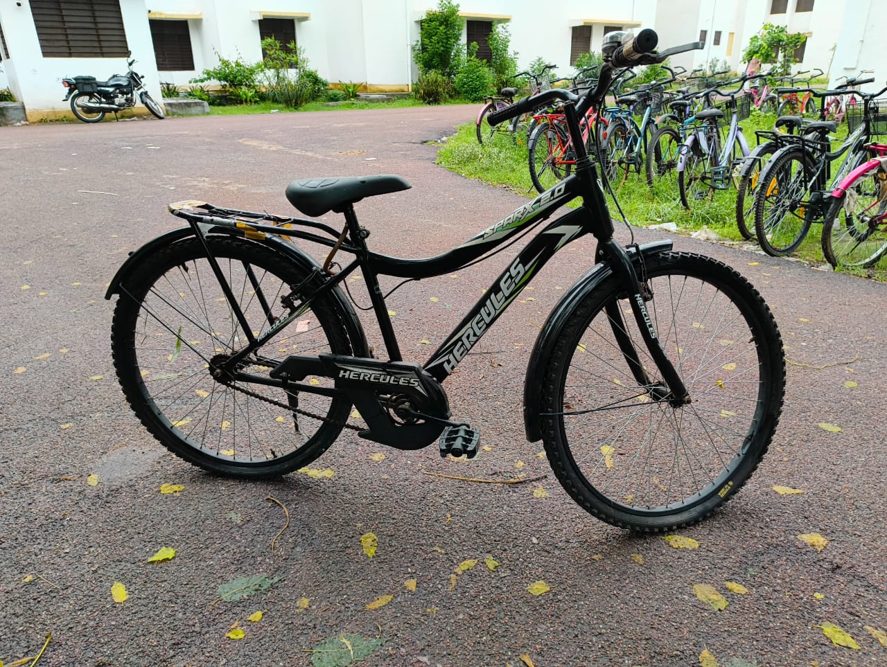 Cycle