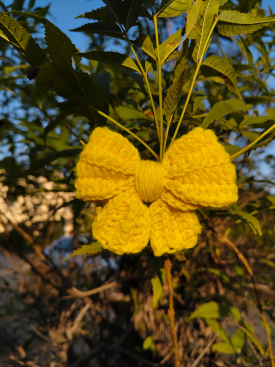 Cute hairclip bow ðŸŽ€