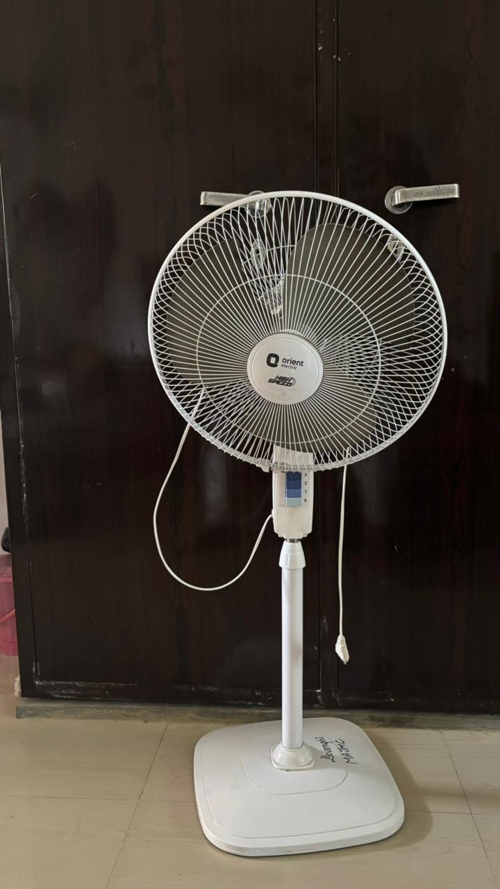 Fan