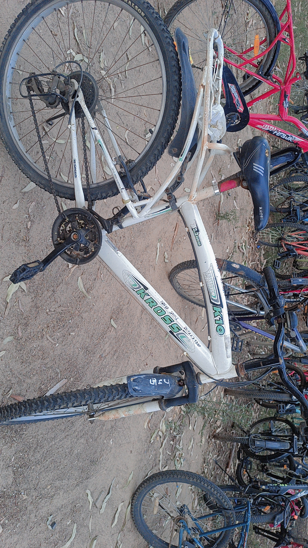 Cycle