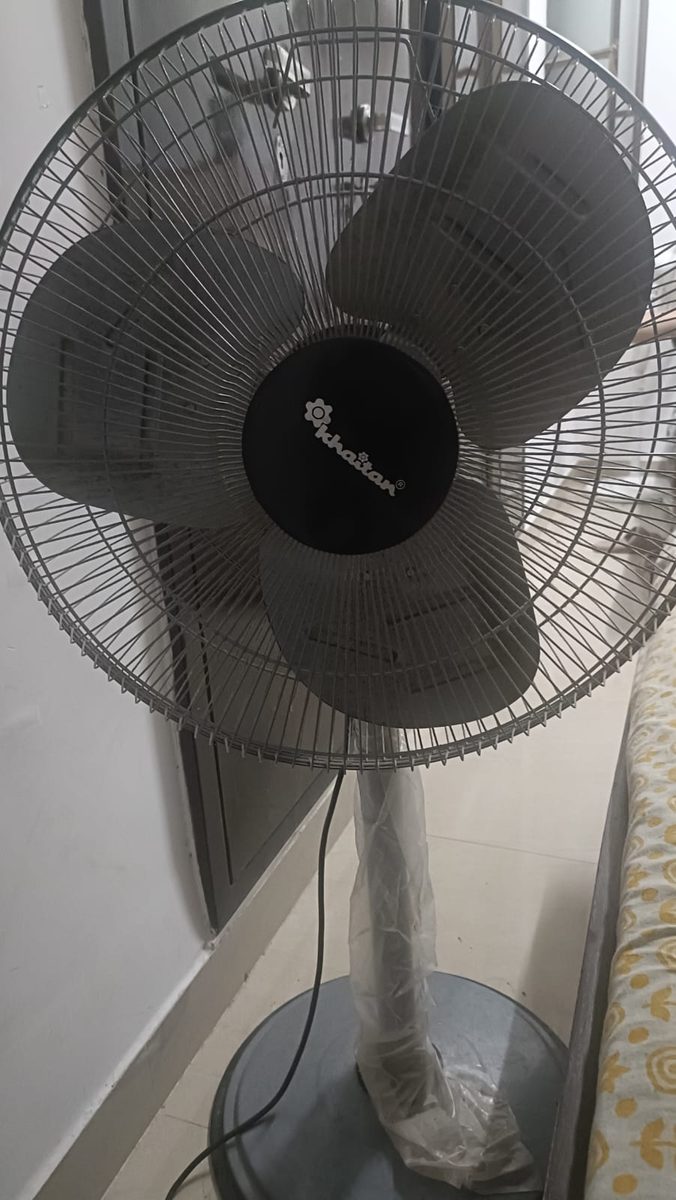 Fan