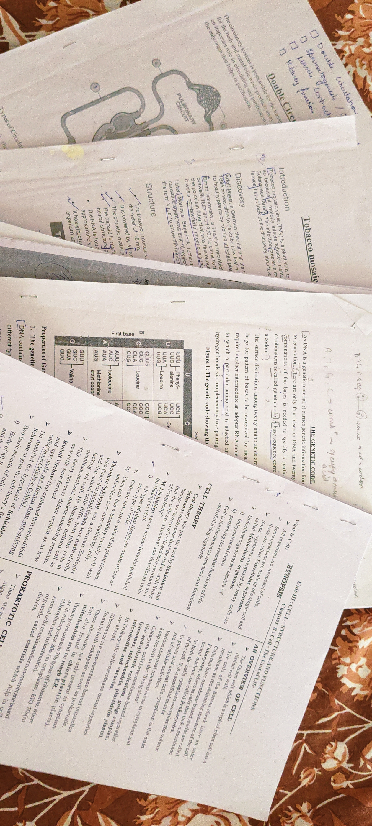 Bio notes